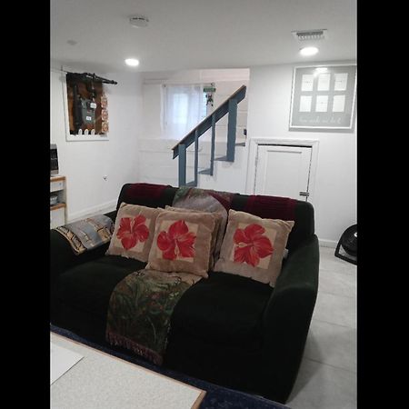 דירות אירבינגטון "Cozy Basement Retreat Just 40 Minutes To Nyc!" מראה חיצוני תמונה