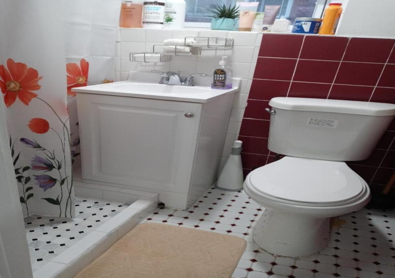דירות אירבינגטון "Cozy Basement Retreat Just 40 Minutes To Nyc!" מראה חיצוני תמונה